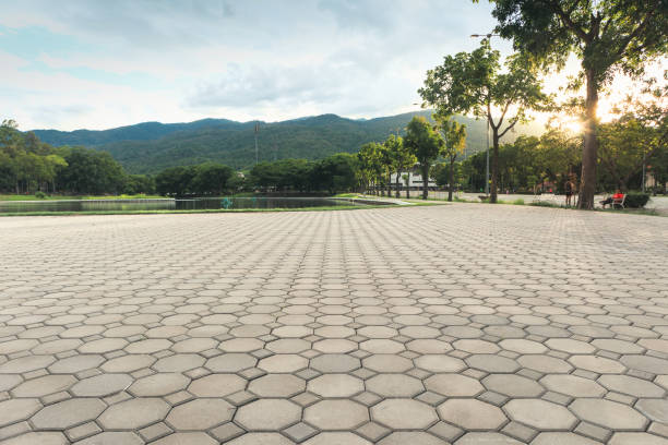 Best Driveway Borders and Edging Pavers in Hamton, IL